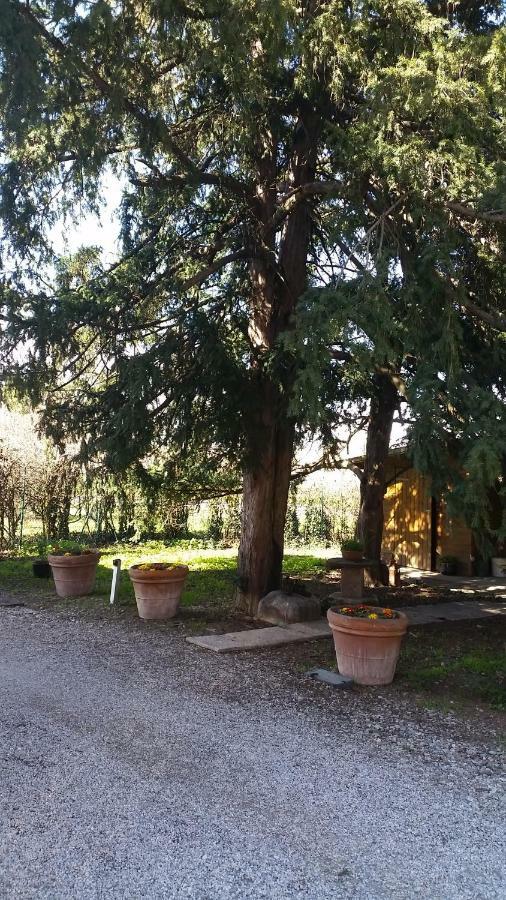 Al Cancello Bed & Breakfast Modena Exterior photo